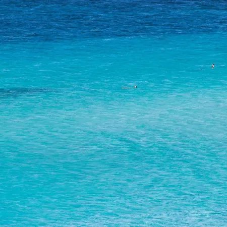 Charming Sea Num2089